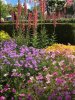 flowers.JPG