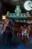 smaller picture.jpg