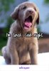 E1DB8704-54DB-4CE9-AD49-AC90E88B4146.jpeg