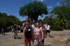 upload_2019-5-18_8-53-0.png