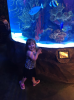 upload_2019-5-18_8-54-27.png