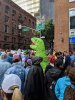 IMG_20190519_082233.jpg