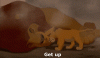 ms-ks89ir.gif