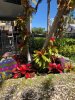 thumbnail_IMG_6217.jpg