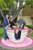DL teacup.jpg