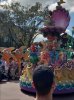 20181016_140843.jpg 20181016_140843.jpg