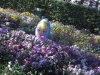 IMG_3630 - Copy.JPG