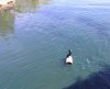 IMG_1708 - Copy.JPG