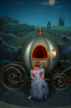 upload_2019-5-24_10-38-45.png