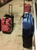 5 Luggage.jpg