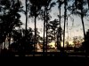 Resized_20190524_165336.jpeg