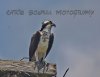 IMG_8546S.jpg