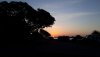 20190527_055557.jpg