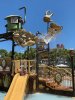 IMG_5953.jpg
