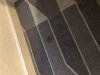 8F74B100-7800-4786-8C3E-19298E0149F2.jpeg