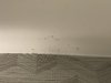 3263805B-3BC5-446E-B4FF-8B32B6094B9D.jpeg