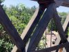 IMG_3180.jpeg