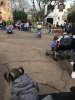 IMG_9057.jpeg