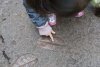 DSC08764.jpeg