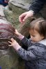 DSC08776.jpeg