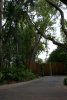 DSC08809.jpeg