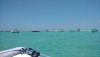 IMG_20190525_131919411.jpg