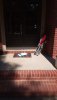 imageId-00b5800c-50e0-ca03-8f02-7f2ff05f5a25.jpeg