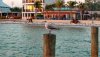 IMG_20190525_064445931_HDR.jpg