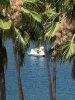 thumbnail_IMG_6637.jpg
