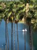 thumbnail_IMG_6639.jpg