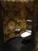Non HCA toilet.jpg