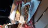 20190531_115758.jpg