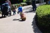 DSC_0788.JPG