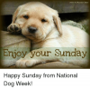 403C57ED-C017-405C-8831-8846FF4FD0E2.png