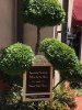 thumbnail_IMG_6480.jpg