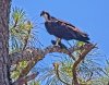 IMG_8650s.jpg
