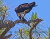 IMG_8653s.jpg
