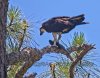 IMG_8654s.jpg