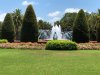 thumbnail_IMG_6642.jpg