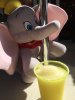 E85E8BA5-2D63-444A-A94E-0B3849CC8D91.jpeg
