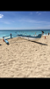 B8E09B66-BE02-4F50-8C0C-37EF32638356.png