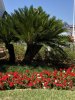 thumbnail_IMG_6510.jpg