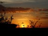 DSC087121.jpg