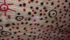 DS HofB ceiling 2.jpg