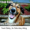 DC78BBAD-F881-4594-87B0-430011007744.png