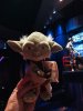 thumbnail_IMG_6534.jpg