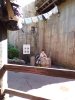 100_0421.JPG