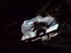 100_0430.JPG