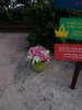 100_0437.JPG