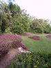 100_0439.JPG